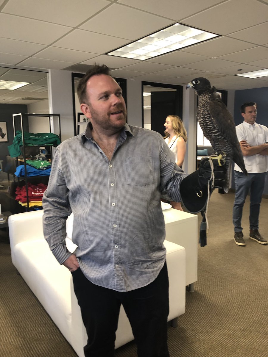 rshermanaz's tweet photo. Just chilling with a Falcon at the @allbound open house. New office digs, wine and a bird of prey. #startuplife. https://t.co/pRPojyzxx2