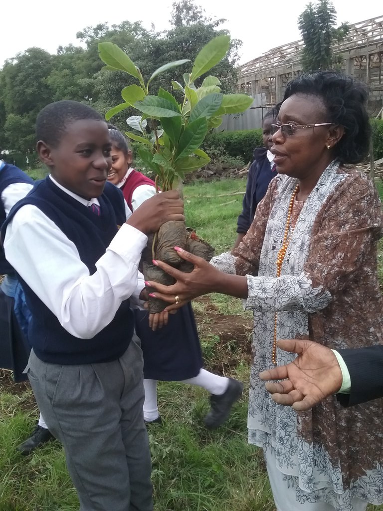 Alphapapa12's tweet photo. @GreenBeltMovmnt and @nicbankkenya working towords #ChangeTheStory Planting a Tree. #WorldEnvironmentDay #PANDAMiti #TurnUpForGood @PeperukaWorld @WWF_Kenya @NemaKenya @TurnupForGood #WorldEnvironmentDay2019 #BeatAirPollution https://t.co/PJRRzCxrPf https://t.co/aARBRtdXiU