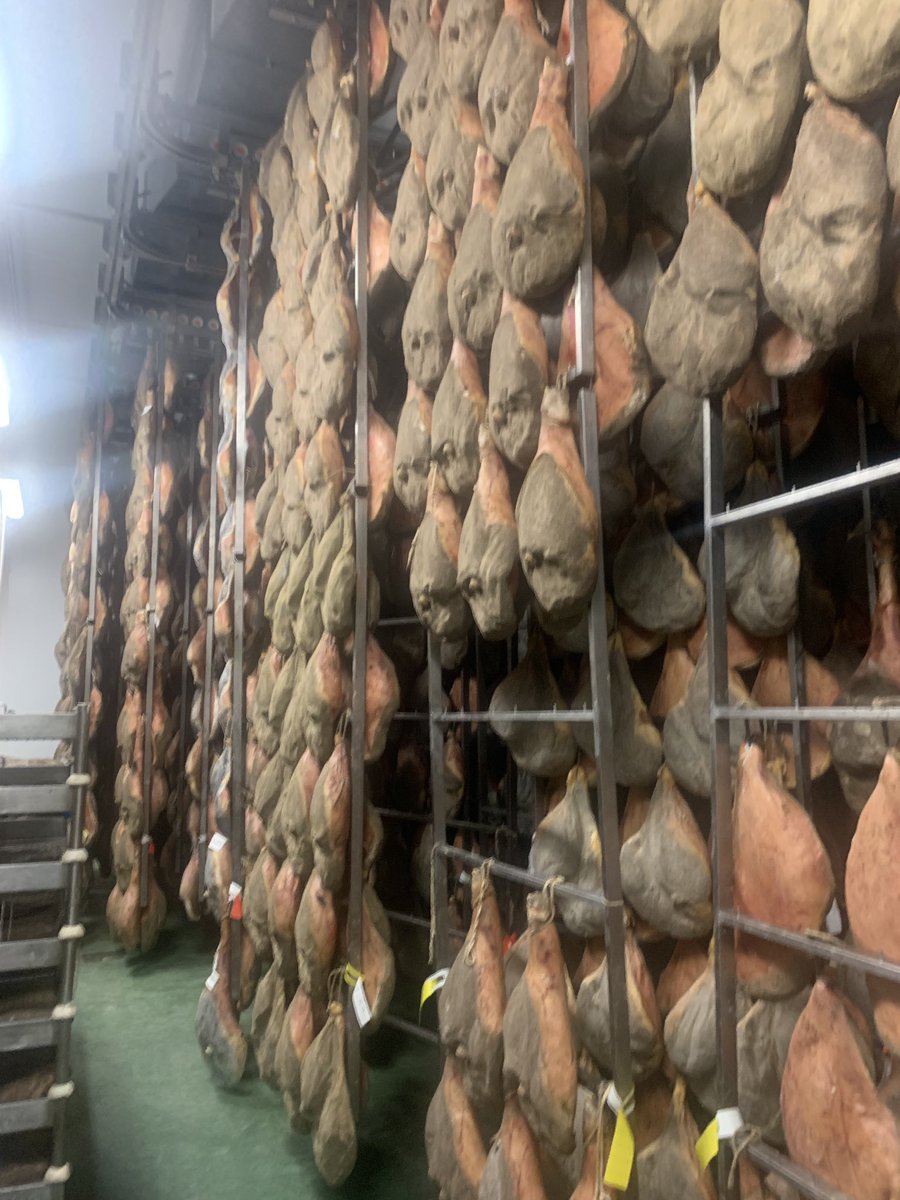 New product searching