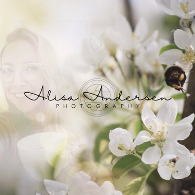 Andersen Photography tweet media