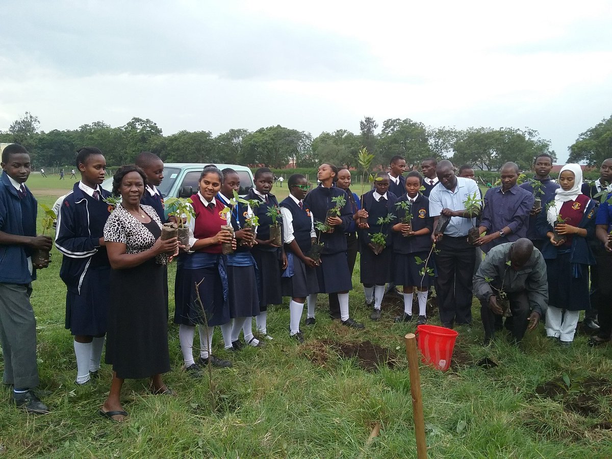 Alphapapa12's tweet photo. @GreenBeltMovmnt and @nicbankkenya working towords #ChangeTheStory Planting a Tree. #WorldEnvironmentDay #PANDAMiti #TurnUpForGood @PeperukaWorld @WWF_Kenya @NemaKenya @TurnupForGood #WorldEnvironmentDay2019 #BeatAirPollution https://t.co/PJRRzCxrPf https://t.co/aARBRtdXiU