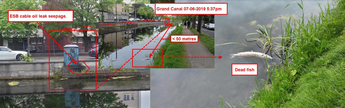 Rob Cross tweet media