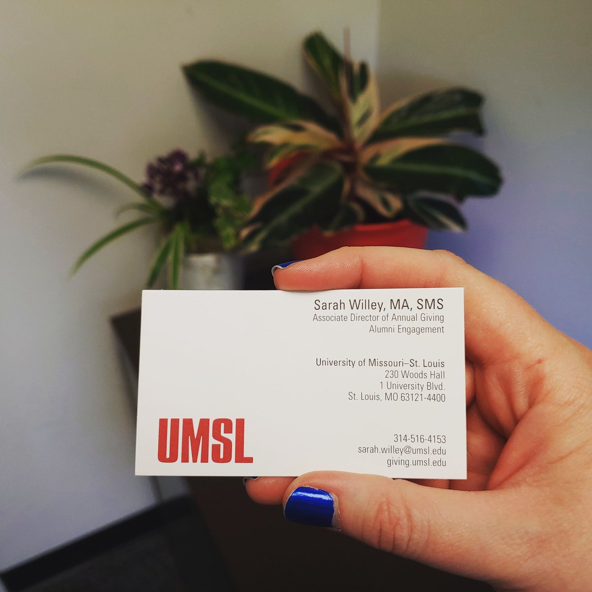 I feel so official now that my @umsl business cards are here!

#NewJob #UMSL #UMSLproud #BusinessCards
#Fundraising #AnnualGiving #AnnualFund #Alumni #MillennialFundraiser #NonprofitLife