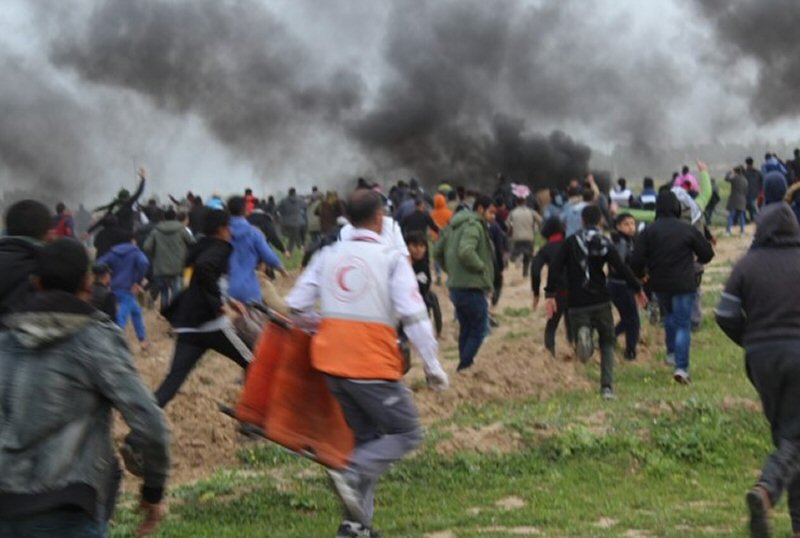 IMEMC News tweet media