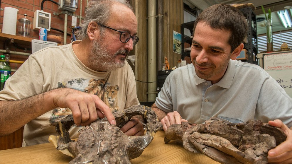 CONICETDialoga's tweet photo. Vetusodon elikhulu: cuando lo antiguo tiene algo de moderno
El hallazgo de una especie de #cinodonte genera nuevos interrogantes.
Nota: https://t.co/Qn1Kjk9CeE
#nuevaespecie #CONICET #cienciaentuvida @OxfordJournals https://t.co/LuGvlFY8QS