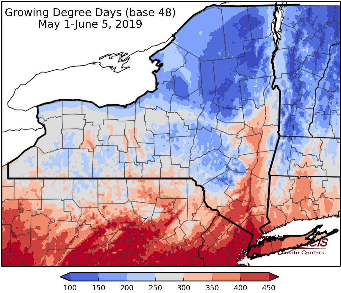 fieldcrops_org's tweet photo. If you had any non-farming plans for the weekend, I’d expect them to be cancelled … the #Weather Outlook for June 6, 2019 and beyond. https://t.co/DkUSdsGJaZ #NYSAgriculture #agriculture #fieldcrops #dryweekend https://t.co/MMplX9VDea