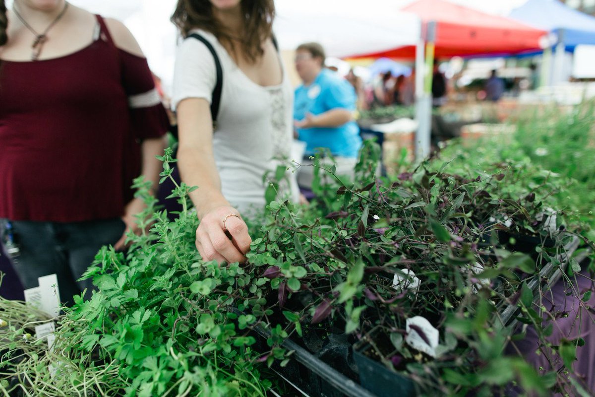 Red River Market tweet media