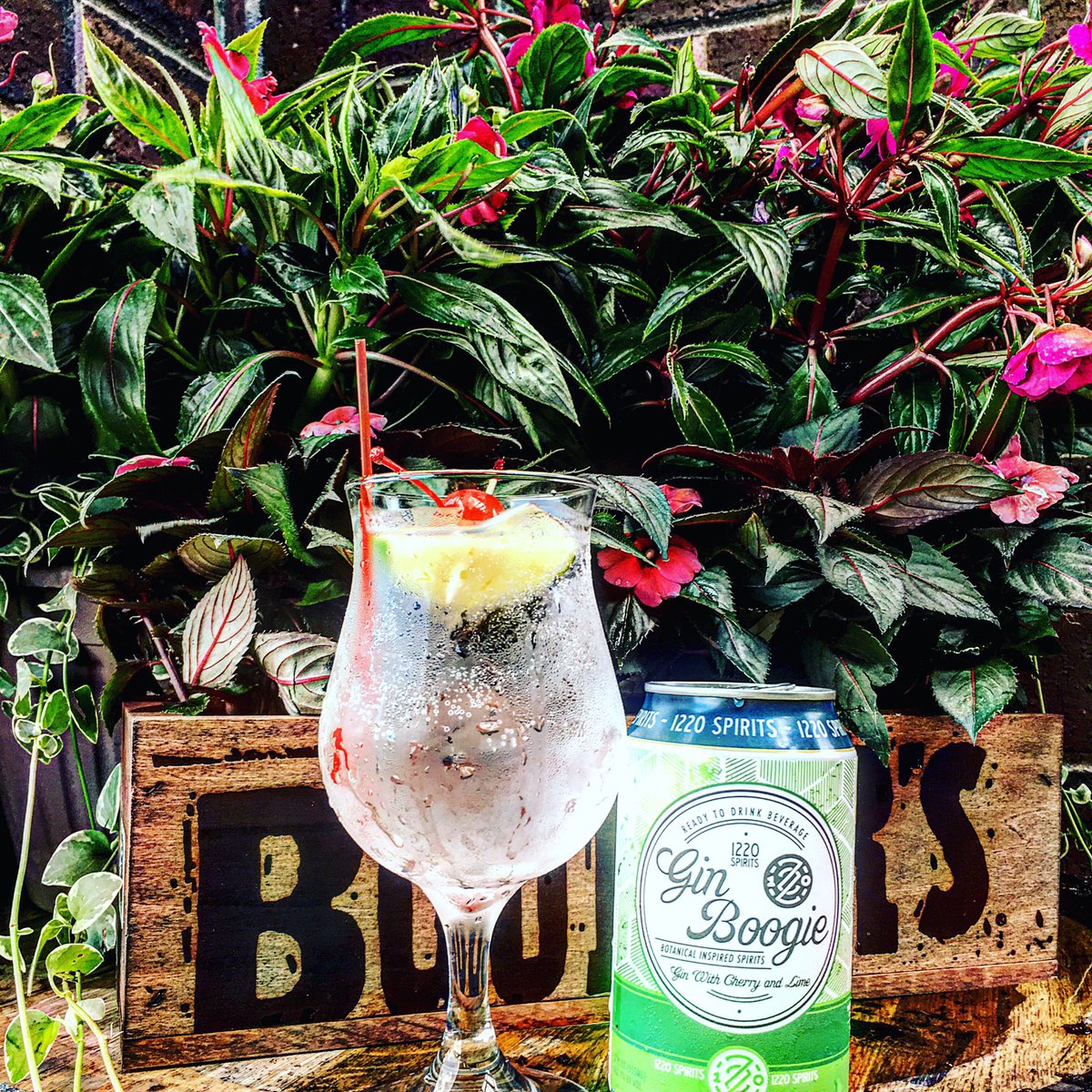 The Crafty Chameleon tweet media