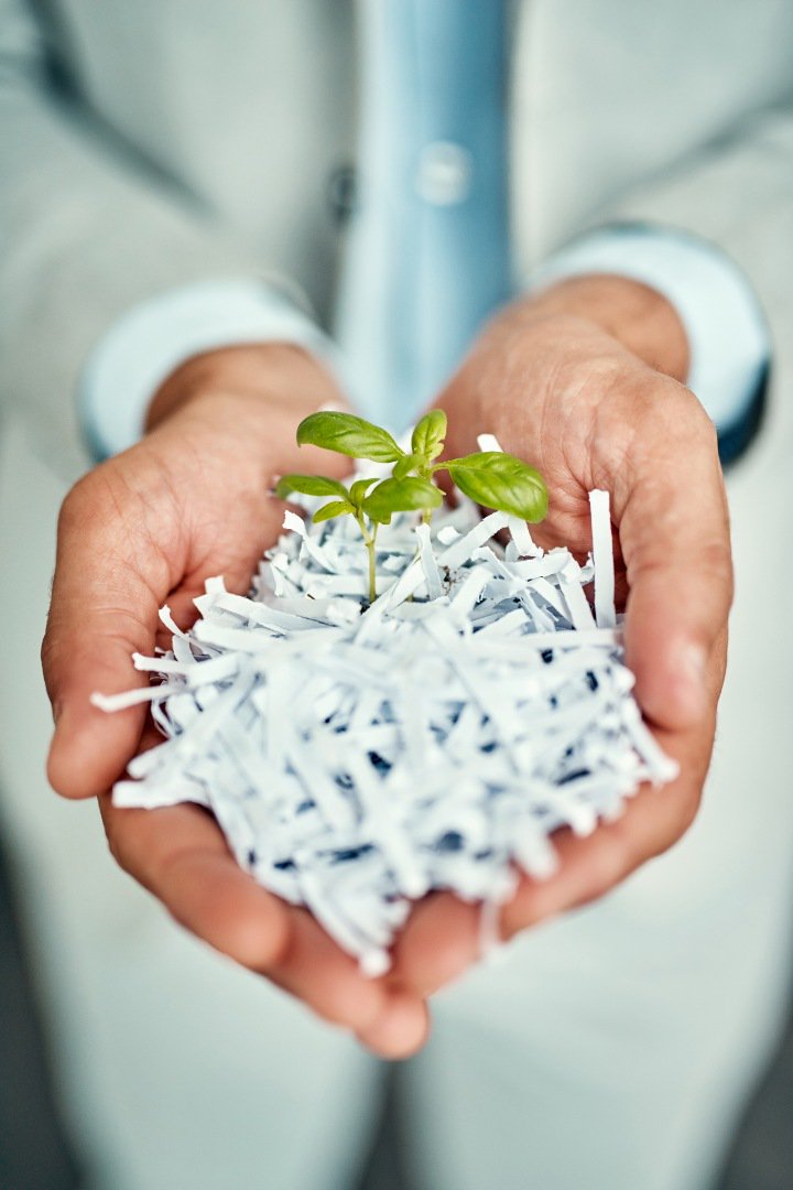 TGCofNorthIndy's tweet photo. Let ideas grow from rubble https://t.co/OSKxVEILV2