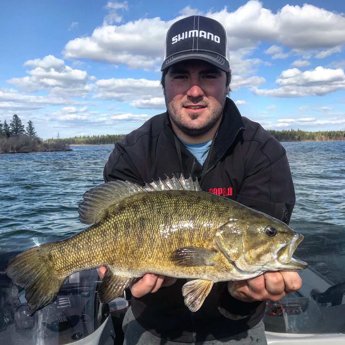 Nathan Paradis tweet media