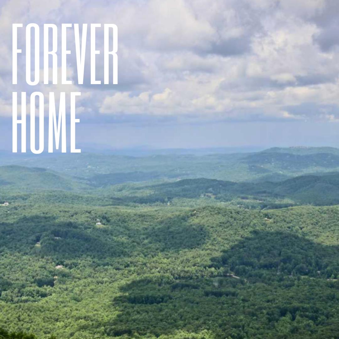 bluestarcamps's tweet photo. We. Can't. Wait!!! #foreverhome #leadfromlove #bluestarcamps https://t.co/WluyLS59nI