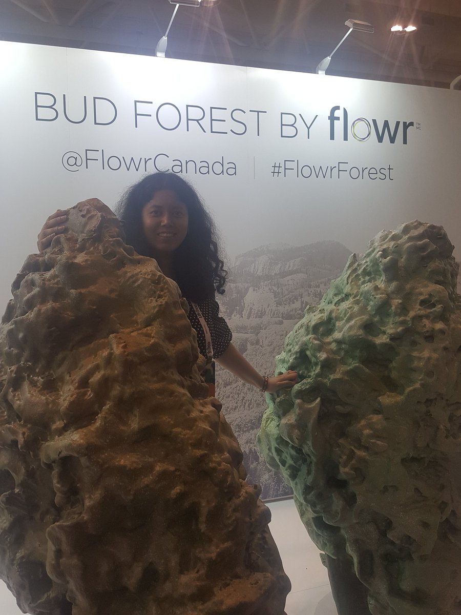 itadnura's tweet photo. Bud from Rockies of Surrey, BC #LiftCoExpo. Hearing a lot of words I have written/spoken before which makes me think we are all creating a collective vocabulary/vernacular in #cannabis in medical and recreational ongoing -a collaborative consciousness @FlowrCanada #FlowrForest https://t.co/7fkaRQ9F9K