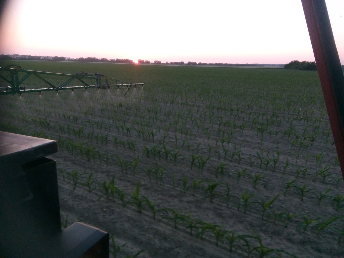 BartCzekala's tweet photo. Dokarmiam QQ🌽🌽 https://t.co/oo5iIKv3gf