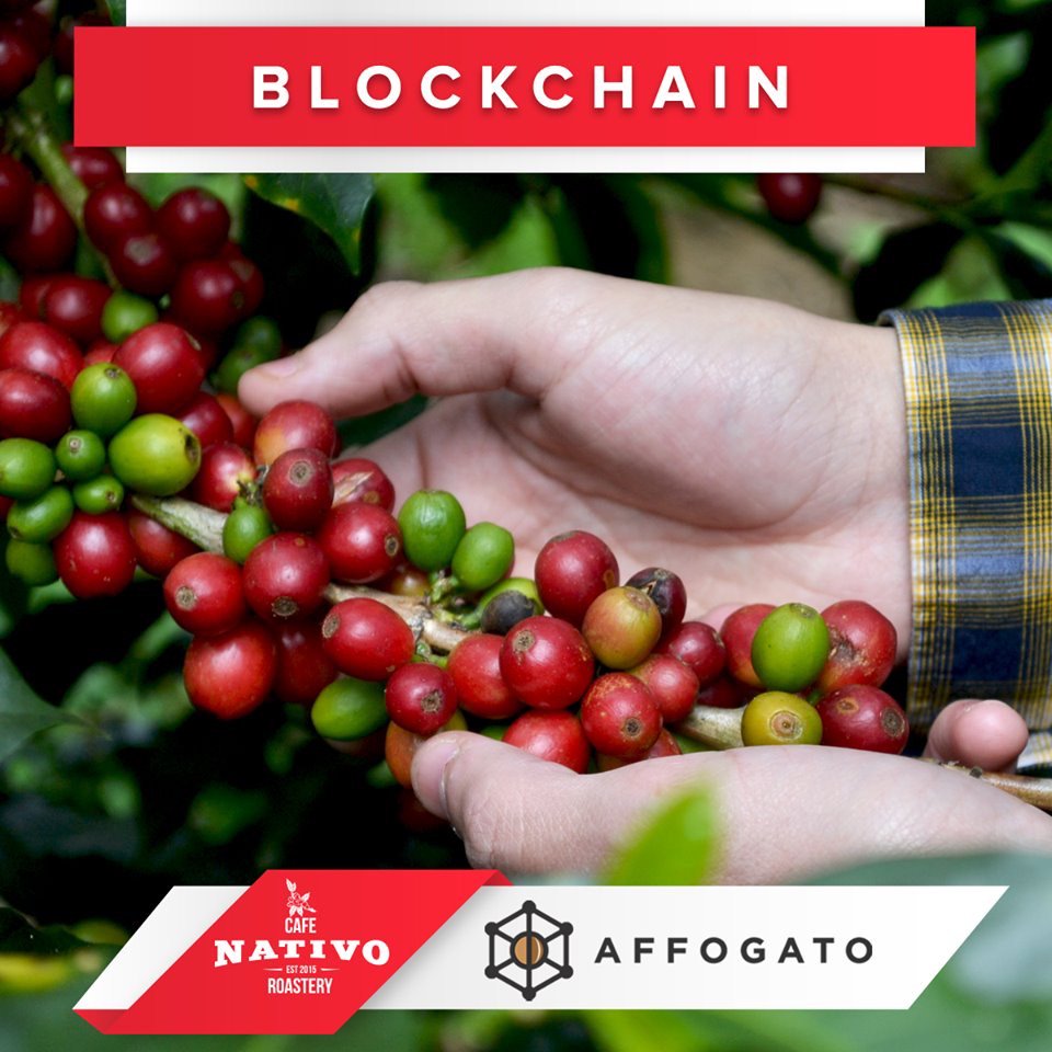 crisgarner's tweet photo. Para todos los que nos acompañarán mañana en #CafeFest... tendran la oportunidad de conocer como através de la Plataforma de Blockchain de Affogato podrán apoyar a los productores de los cafés que Nativo estará sirviendo 😀

#specialtycoffee #ExperienciaNativo #hechoenhonduras https://t.co/k9ryaOIHzK