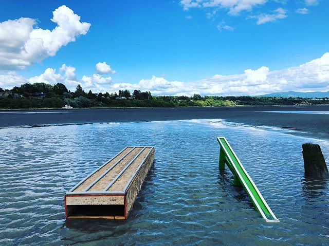 DB Skimboards tweet media