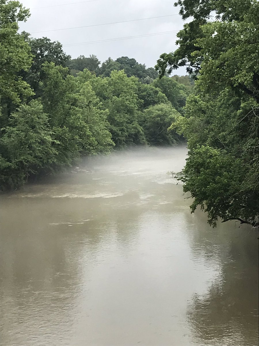 tracikm's tweet image. Rainy foggy evening on the Smith River. This river used to be awfully polluted from the textile mills, but it’s had a revival due to hard work of some local groups like the Dan River Basin Association. Beautiful river to kayak on! #drba #smithriver