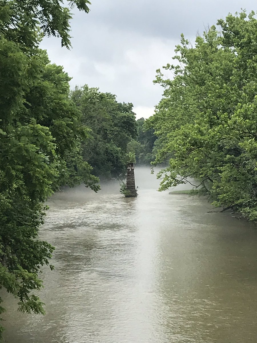 tracikm's tweet image. Rainy foggy evening on the Smith River. This river used to be awfully polluted from the textile mills, but it’s had a revival due to hard work of some local groups like the Dan River Basin Association. Beautiful river to kayak on! #drba #smithriver