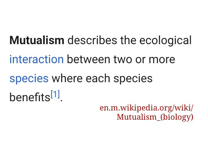 Kinkster_Truth's tweet photo. I very much subscribe to the idea that ~healthy~ dom/sub relationships are mutualistic (a type of symbiosis). ☀
•
If everyone's not benefitting, something's ~wrong~.
•
Fix it or exit.
•
#BDSM #OverheardInDM #ThinkHealthyKink https://t.co/M2smbyvaO0