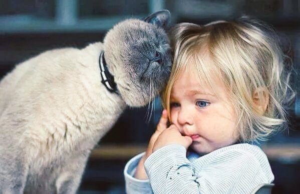 ChanthanThip's tweet photo. Babies and cats 💞😘.
@bella_tomy 
#Kids 
#Cats https://t.co/Pc7yLAy9WT