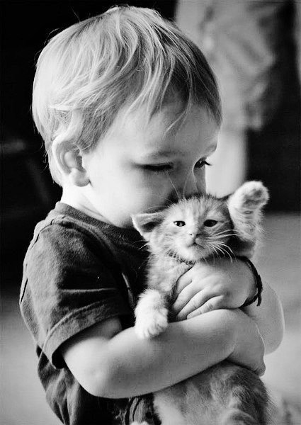 ChanthanThip's tweet photo. Babies and cats 💞😘.
@bella_tomy 
#Kids 
#Cats https://t.co/Pc7yLAy9WT