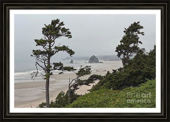 cathsherman's tweet image. Foggy Morning on Cannon Beach #Oregon Cypress trees, Haystack Rock #HaystackRock #CannonBeach #ArtForSale 
fineartamerica.com/featured/foggy…
licensing.pixels.com/featured/foggy…
catherine-sherman.pixels.com/featured/foggy… @FineArtAmerica