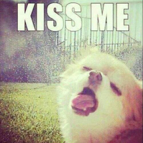 GuttersKall's tweet photo. just smirk a while. #hilarity #laugh #smile #hilarious https://t.co/uWwXEYQPLg