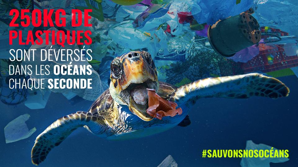 Prefet973's tweet photo. Aujourd'hui est la journée mondiale des Océans #WorldOceansDay. En Guyane, les services de l’État et de nombreuses associations se mobilisent pour préserver la biodiversité marine, et protéger les espèces. Préservons nos océans et à luttons contre la pollution! #SauvonsNosOcéans https://t.co/Z0OIlmdyvu