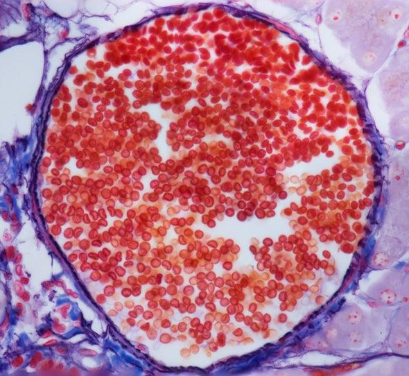 How does new Trump fetal policy impact medical research? bit.ly/2QWxtvc