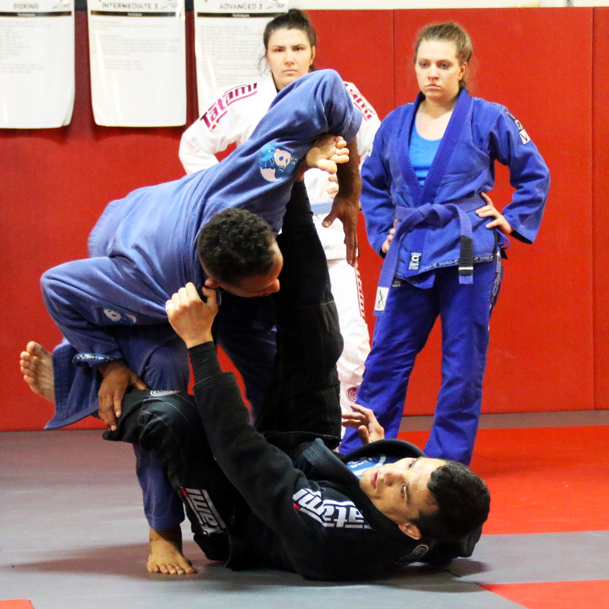 We Are Proud To Have Atlanta's Best Brazilian Jiu Jitsu Program Led At West Midtown By Blackbelt Bruno Frazatto. Learn More About Our World Renowned BJJ Program Here!
 qoo.ly/xuisk