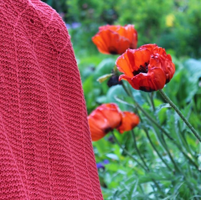HarveyKnits's tweet photo. Out tomorrow ❤️
•
#maddieharveydesigns #shawlsaturday #shawlsaturdayseries #centaureashawl #summershawl #summershawls #summerknitting #summerknits #summeryarn #iamarealknitter #knitsnotbots https://t.co/hNOL3qHvvz https://t.co/3TBW6ZlFxD
