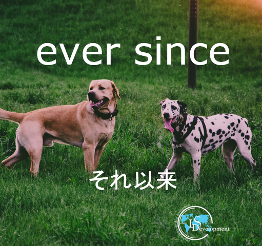 Elsdevelopment 英語のフレーズ 英語の例文 それ以来 Eversince I Don T Like Her Ever Since それ以来ずっと 私は彼女が好きではない T Co Qdrxxpspni 英会話スクール オンライン英会話 英会話 英単語帳 英語のフレーズ 英単語 Elsdevelopment 英語のフレーズ 英語の例文 それ以来 Eversince I Don T Like Her Ever Since それ以来ずっと 私は彼女が好きではない T Co Qdrxxpspni 英会話スクール オンライン英会話 英会話 英単語帳 英語のフレーズ 英単語