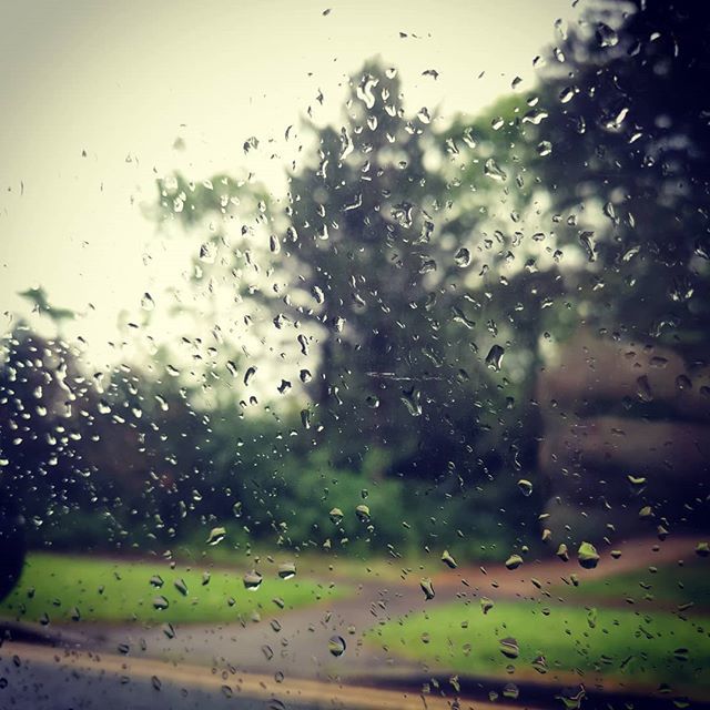 scottfreeman's tweet photo. A rainy day. https://t.co/94TCfOPBms https://t.co/dB1grLFXP7