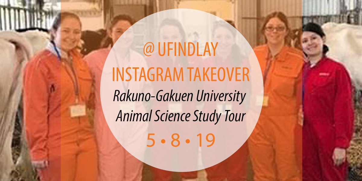 ufindlay's tweet photo. Follow six UF students on Saturday as they experience Japanese veterinary medicine while studying at Rakuno Gakuen University in Hokkaido, Japan. #UFindlayTakeover #StudyAbroad #AnimalScience https://t.co/2pYjv15AvA
