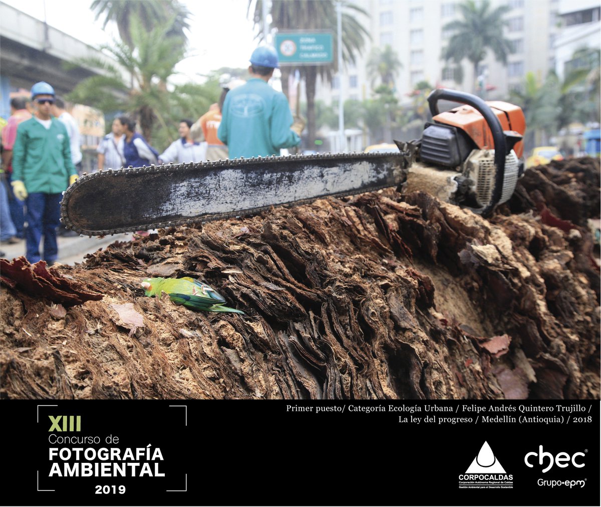 Corpocaldas's tweet photo. Si tienes fotografías que registran el patrimonio natural de #Colombia, postula tus trabajos en el XIII Concurso de #FotografíaAmbiental. Recibimos tus imágenes hasta el 19 de julio del 2019. Consulta la guía de la convocatoria en https://t.co/oEMn5d8udf https://t.co/HjMEv9H5Qj