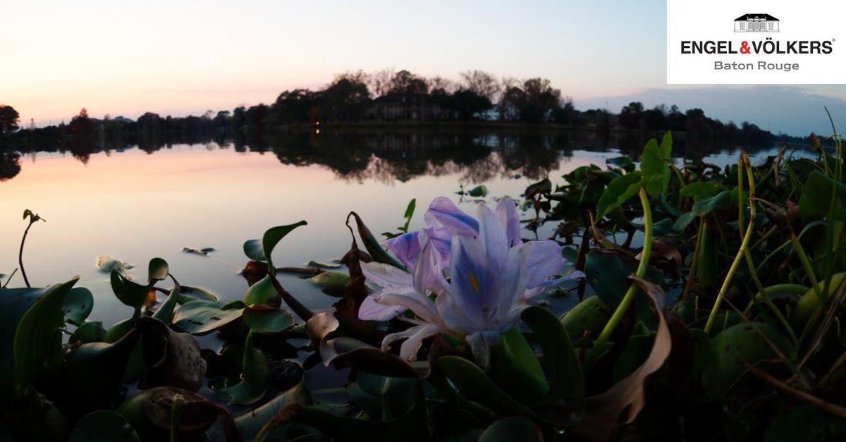 Del Rio Real Estate on Twitter "Summer is here! But now what? Here is a guide of some or our