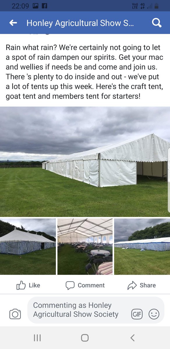 Honley Show (@honleyshow) on Twitter photo 