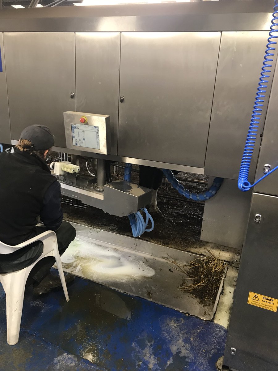 jamesholdingeng's tweet photo. Mr Parker’s M2s getting milked in😊 all 4 Robots working well, long hours but worth it all. #M2 #Fullwood #happyfarmer https://t.co/e58rEGKzSj