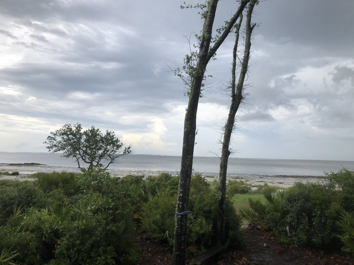 shockD22's tweet photo. A rainy day in paradise, but still beautiful.
#StHelenaSC. https://t.co/TEJNzZU9kp