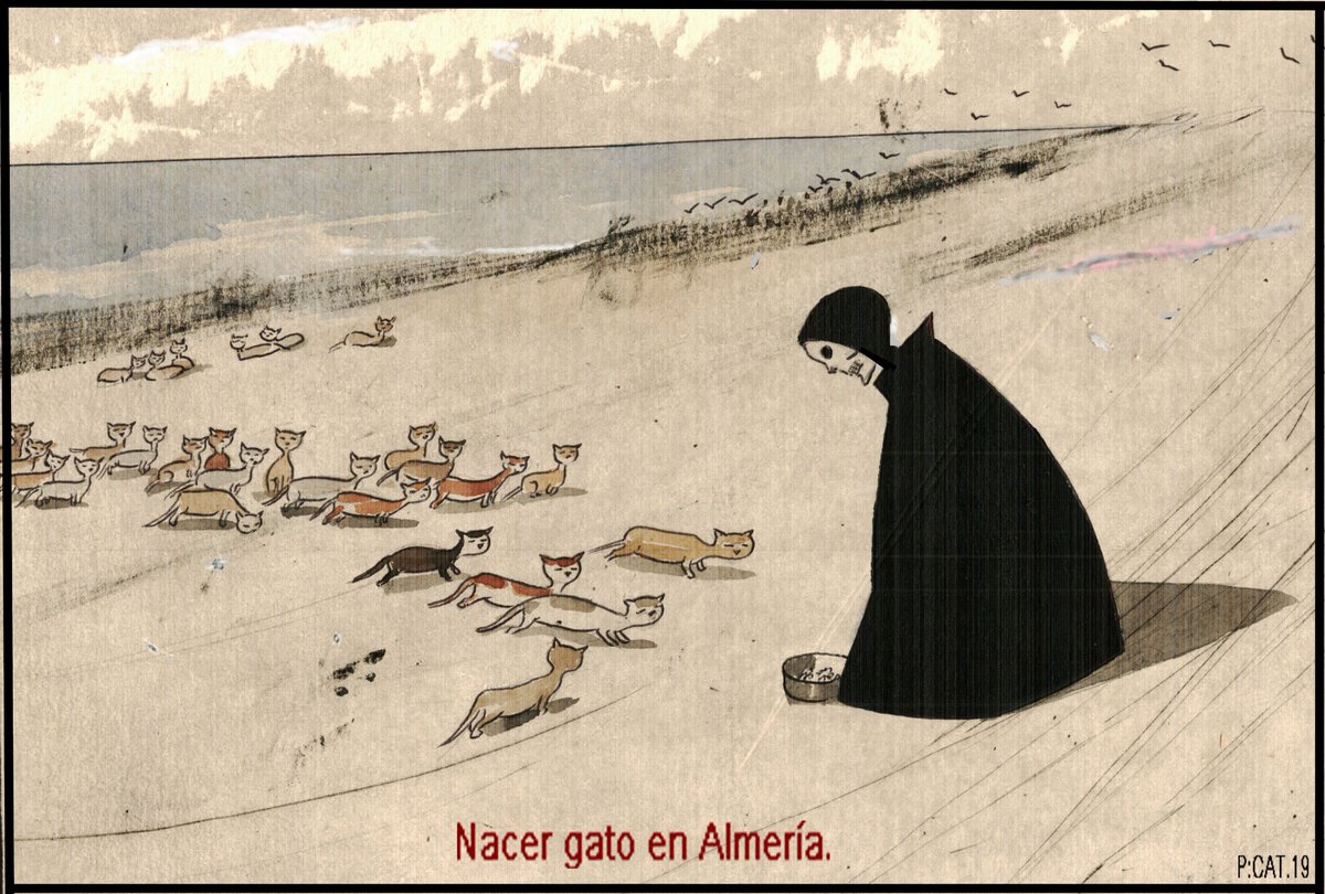 pacocatt's tweet photo. Viñeta especial.
Palabras de Victoria Lagata:
Los gatos de la colonia del Club de Mar de Almería están siendo exterminados. Actualmente todos los días se están produciendo capturas y son llevados a la perrera donde los gatos ferales son encerrados en jaulas.   Algo muy triste. https://t.co/fydYSBFBCD
