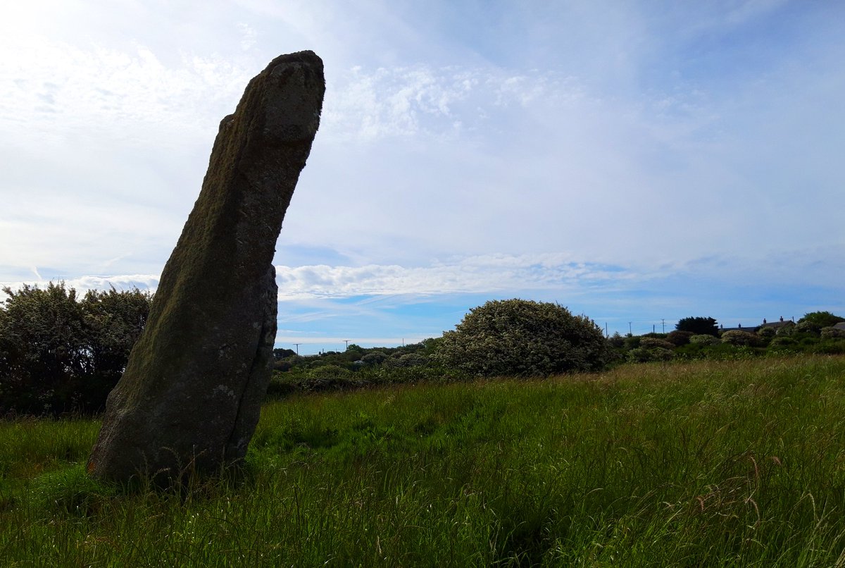 Similarly, The Merry Maidens near Lamorna were apparently petrified for dancing with The Pipers, the impressive 4m+ megaliths in a nearby field. As with Tregeseal East above, The Merry Maidens were once accompanied by another stone circle. #PrehistoryOfPenwith #megalithic