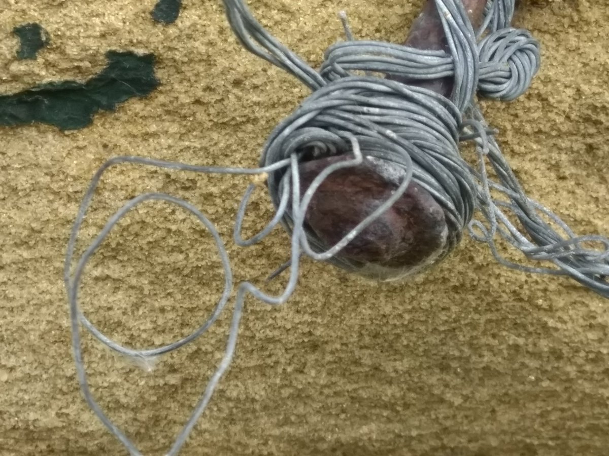 Michael Gott tweet media