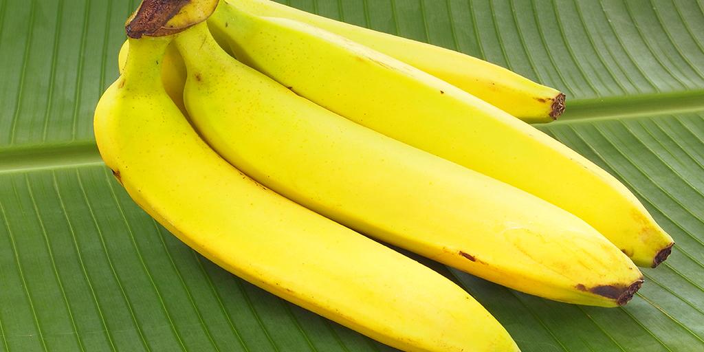 Agrinos's tweet photo. What does it mean to be a true biostimulant believer? It means heading to Guayaquil, Ecuador next week for Intagri’s International Course on the Biostimulation of Fruit Trees. https://t.co/IMMbqANKWA https://t.co/2gz3gb7YHR