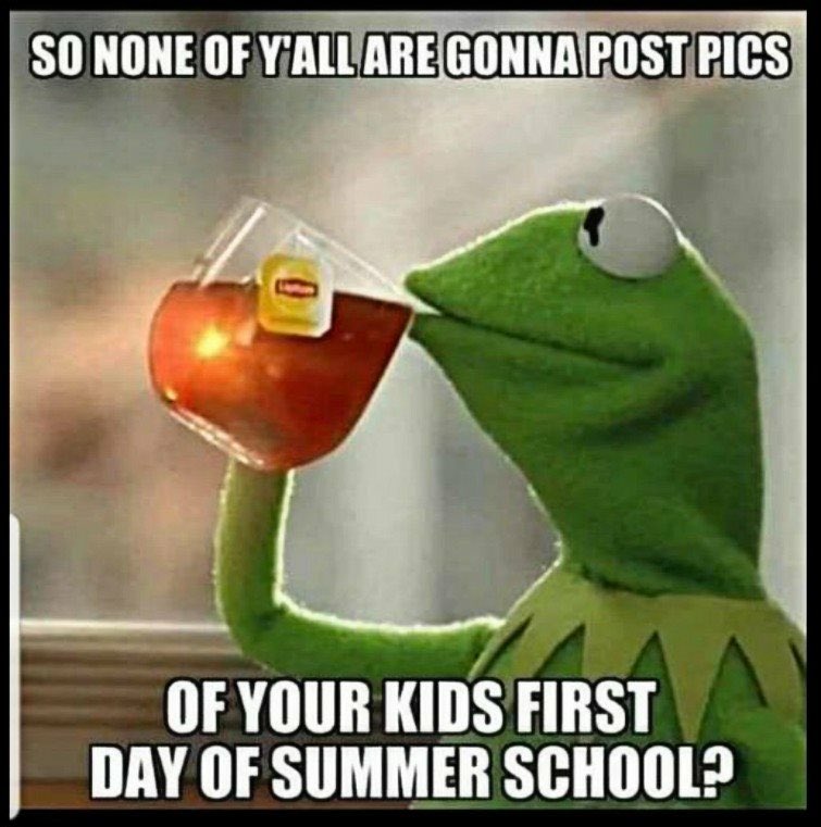 morrell29's tweet image. 