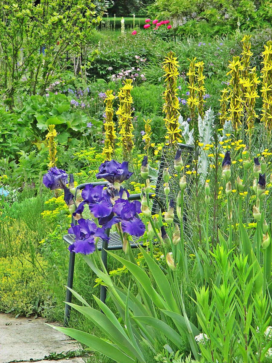 Carola Christina (@carofit40) on Twitter photo 