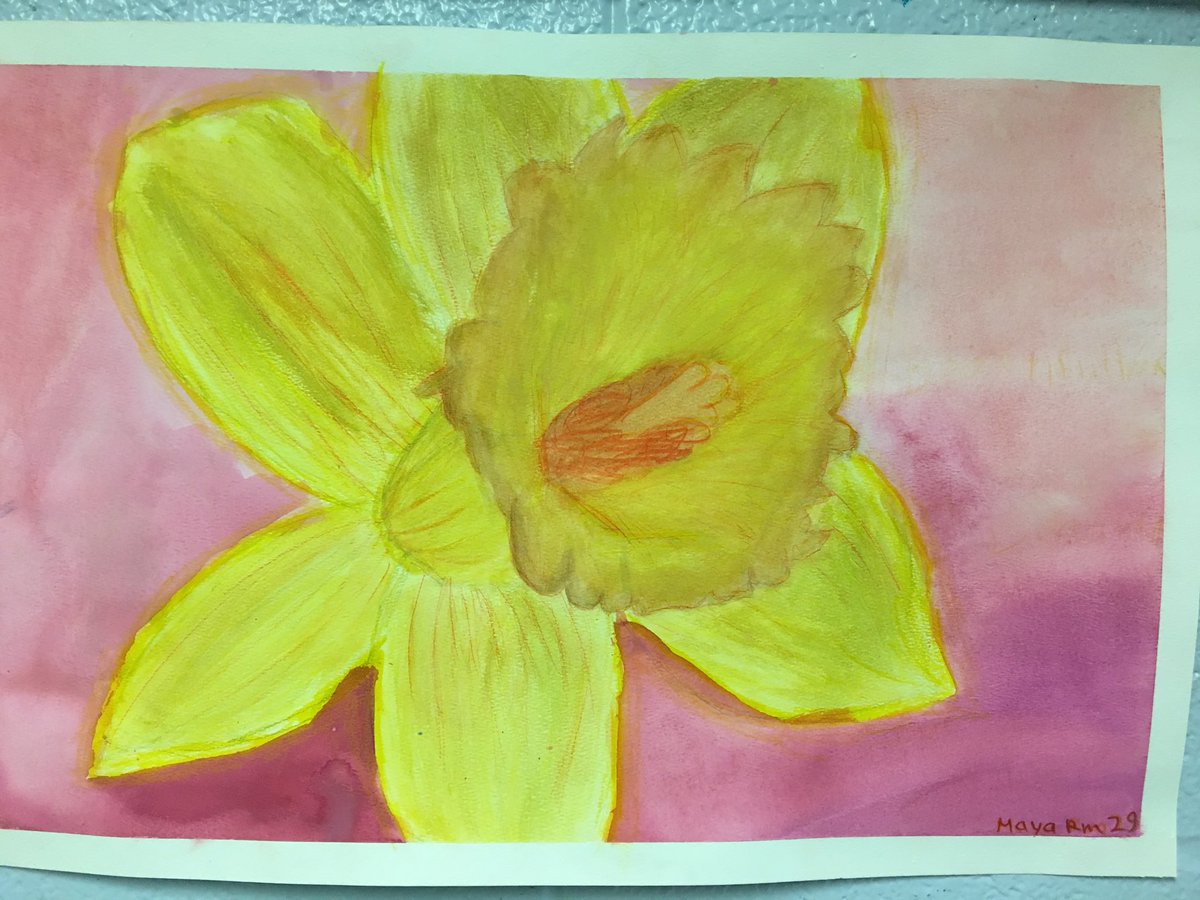 MmeCArt's tweet photo. Finally they are up! In time for real spring weather! Gr 5/6 Georgia O’Keefe inspired, detailed water colour flowers. https://t.co/Qcxwljxiwl