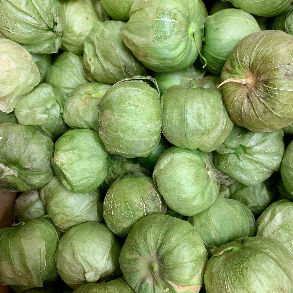 The tomatillo is a traditional ingredient in Mexican cuisine. They have a vibrant tart flavour with
citrus notes. We utilize fresh tomatillos in our Salsa Verde and other housemade sauces.