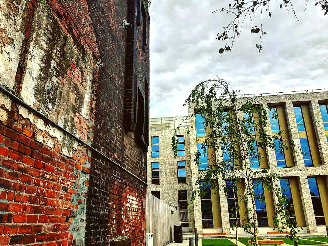 halljamm's tweet photo. #brick vs #stone? https://t.co/vi6JZjH2Xt