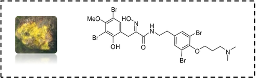 ChemistrySelect's tweet photo. 2D NMR Studies of Bromotyrosine Alkaloid, Purpurealidin K from Marine Sponge Psammaplysilla purpurea (Majik) https://t.co/FsuTQZgjeX https://t.co/et4WeCKQCs