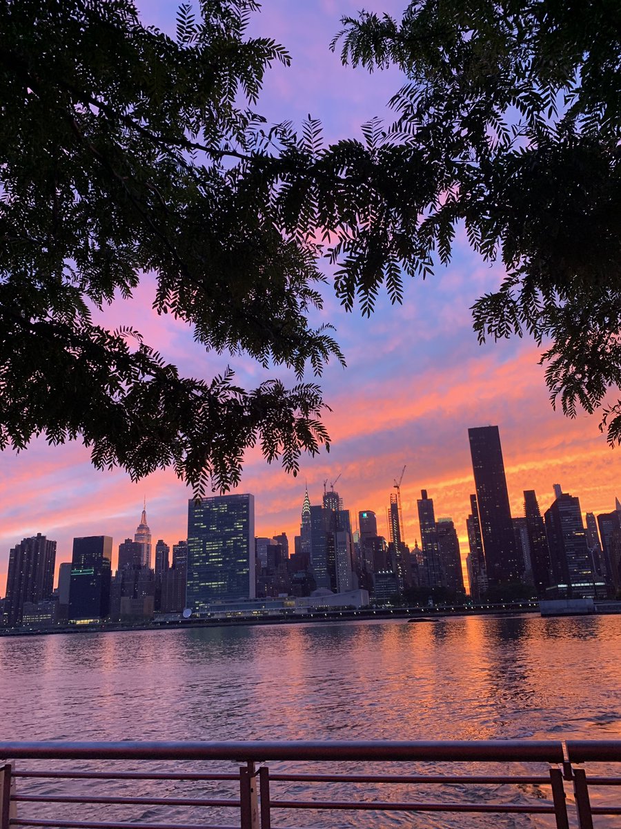 timthetoolmann's tweet photo. shoutout to summer in new york city. https://t.co/nfDnHKcbqY