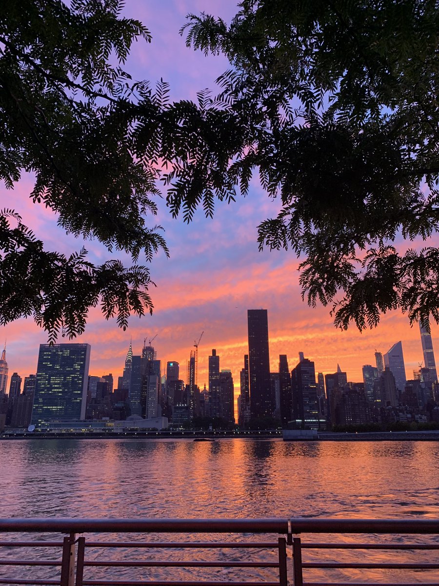 timthetoolmann's tweet photo. shoutout to summer in new york city. https://t.co/nfDnHKcbqY